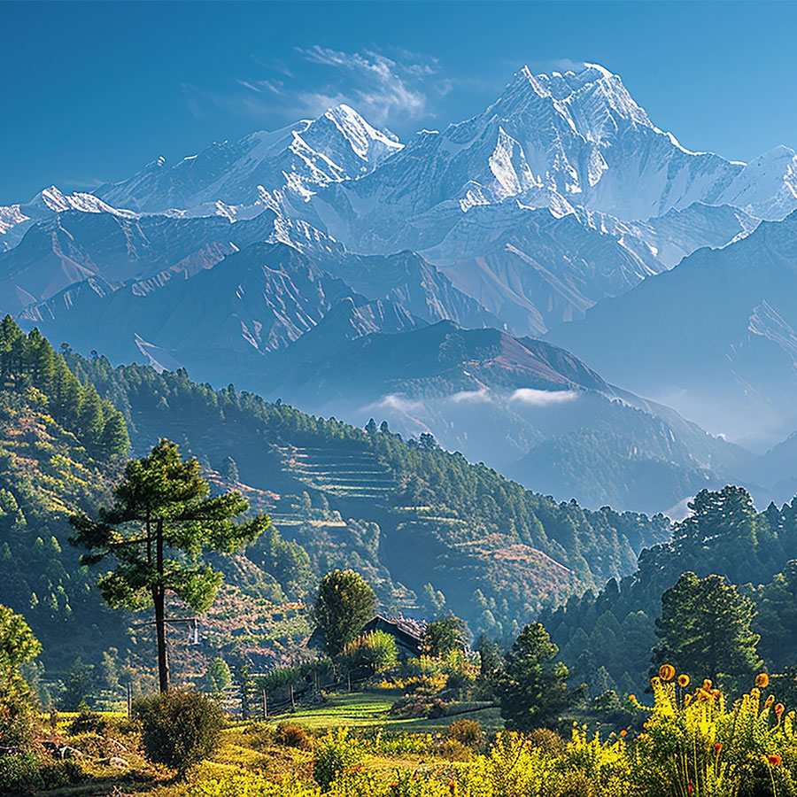 darjeeling